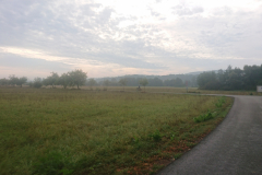 IMG_20250909_085026