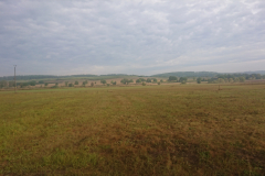 IMG_20250909_085954