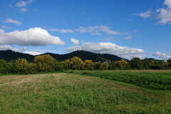 IMG_20250910_165645