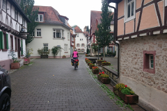 IMG_20250911_100015