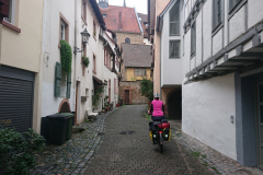 IMG_20250911_100029
