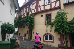 IMG_20250911_100105