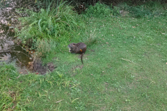 2025-09-12-Herbsttour-2025-Tag-7