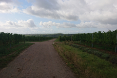 IMG_20250912_094308