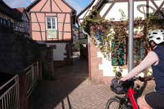 IMG_20250912_101458