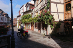 IMG_20250912_101527