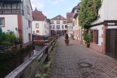 IMG_20250912_101850