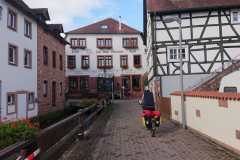 IMG_20250912_101901