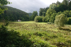 IMG_20250912_110353