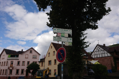IMG_20250912_124805