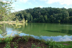 IMG_20250913_101746