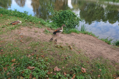 IMG_20250913_112133