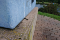 IMG_20250913_122217