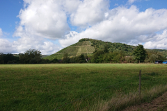 IMG_20250914_124353