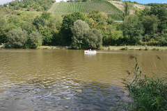 IMG_20250914_125048