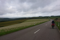 IMG_20250916_094045