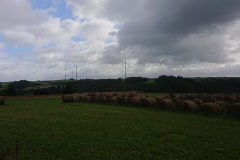 IMG_20250916_111406