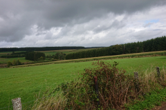 IMG_20250916_124521