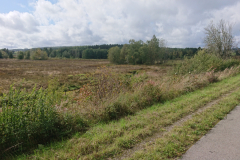 IMG_20250916_153957