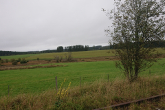 IMG_20250917_095453