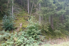 IMG_20250917_101738