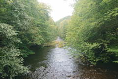 IMG_20250917_110150
