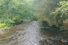 IMG_20250917_110204