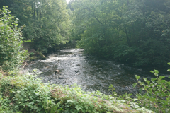 IMG_20250917_110650