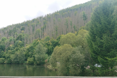 IMG_20250917_141322
