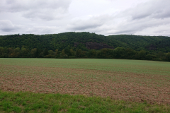 IMG_20250917_145342