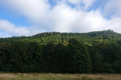 IMG_20250918_093724