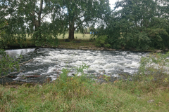 IMG_20250918_112641