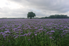 IMG_20250921_115055