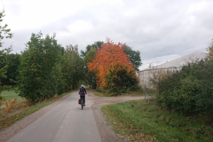 IMG_20251011_150342