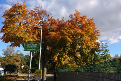IMG_20251018_154727