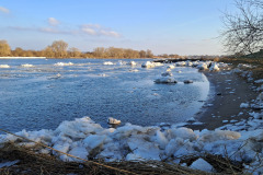 20260118_142333