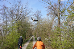 IMG_20260411_125743