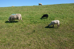 IMG_20260501_104153