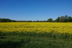 IMG_20260501_112515