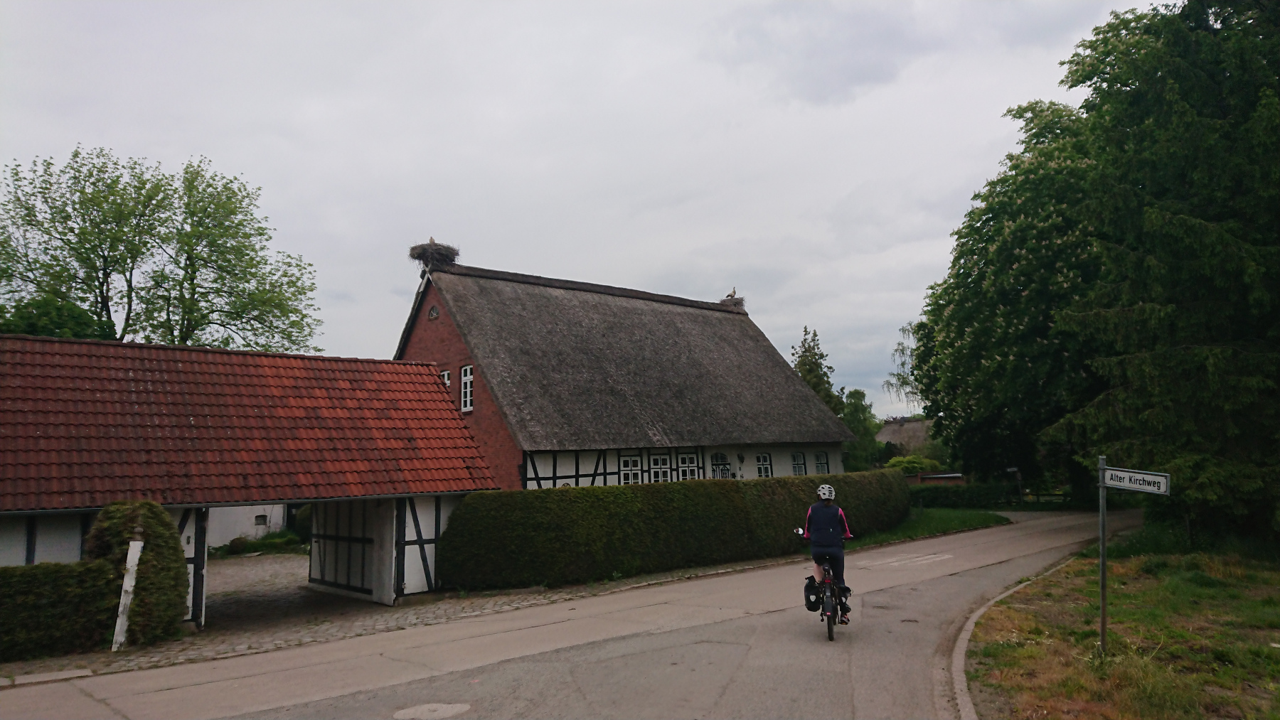 IMG_20260517_170518