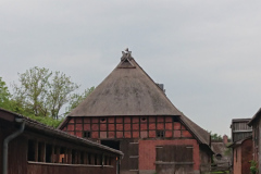 IMG_20260517_170608