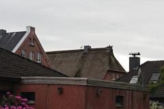 IMG_20260517_170738