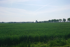 IMG_20260524_095625