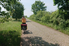 IMG_20260524_112851