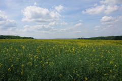 IMG_20260524_143033