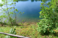 IMG_20260524_172952