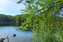 IMG_20260524_173118