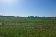 IMG_20260529_085051