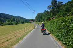 IMG_20260529_103159