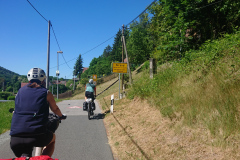 IMG_20260529_103311